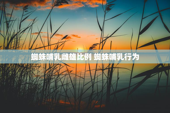 蜘蛛哺乳雌雄比例 蜘蛛哺乳行为