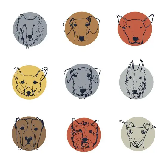 属相到底按立春还是春节(如何确定生肖年份)