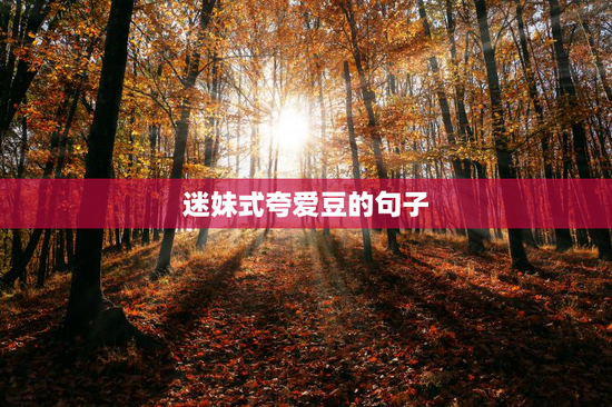 迷妹式夸爱豆的句子