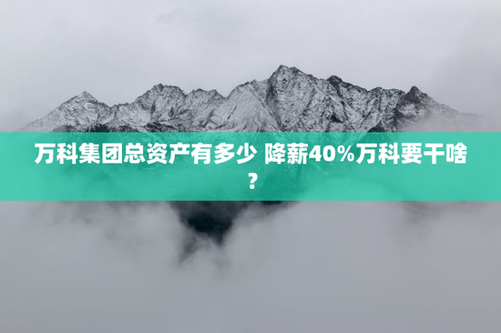 万科集团总资产有多少 降薪40%万科要干啥？