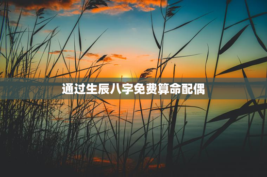 通过生辰八字免费算命配偶，免费生辰八字算另一半