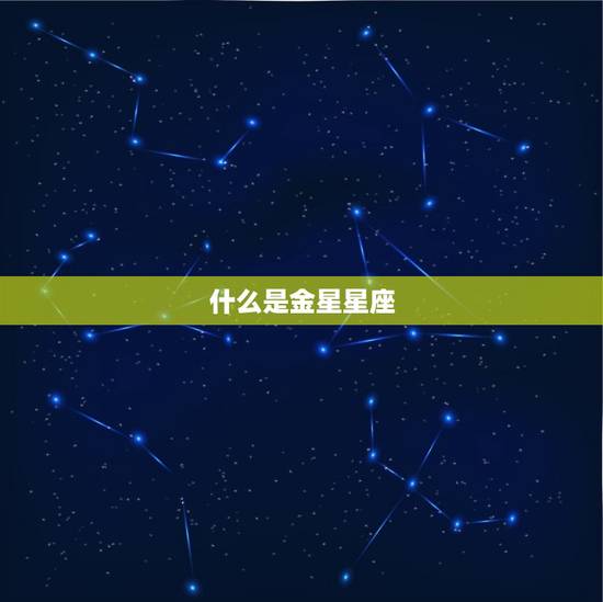 什么是金星星座