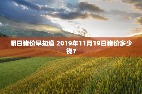明日猪价早知道 2019年11月19日猪价多少钱？