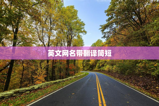 英文网名带翻译简短