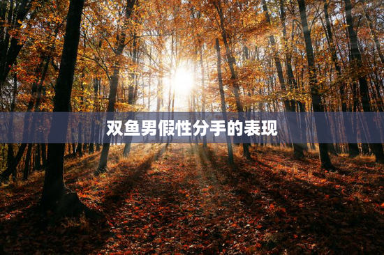 双鱼男假性分手的表现