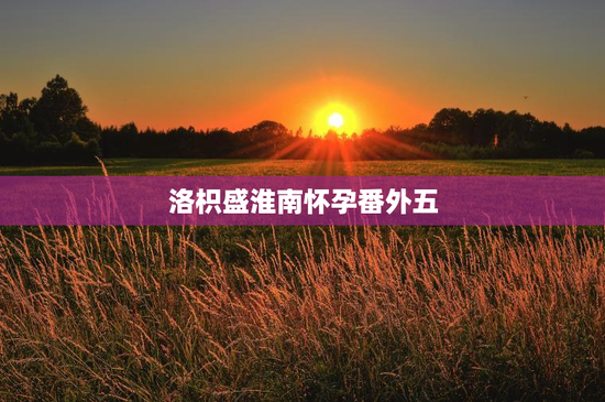 洛枳盛淮南怀孕番外五