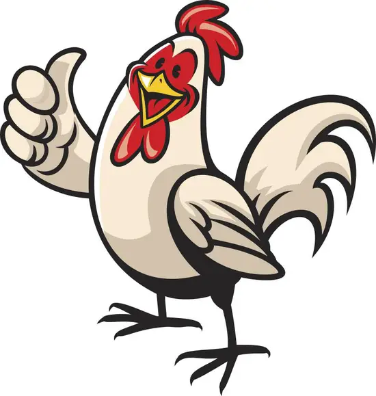 2023属鸡人不利方向(如何避免命运的逆转)