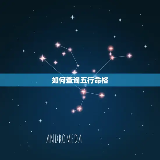 如何查询五行命格