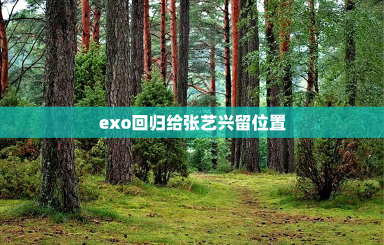 exo回归给张艺兴留位置