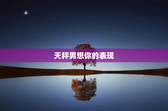 天秤男想你的表现