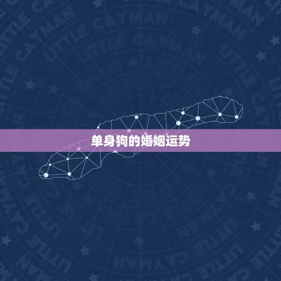 单身狗的婚姻运势