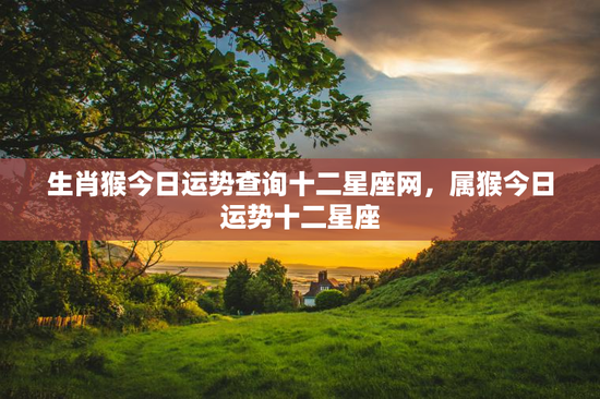 生肖猴今日运势查询十二星座网，属猴今日运势十二星座