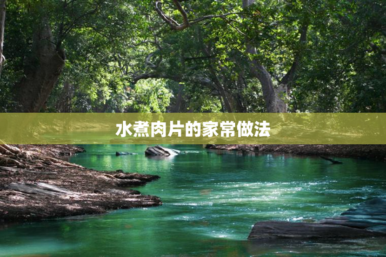 水煮肉片的家常做法