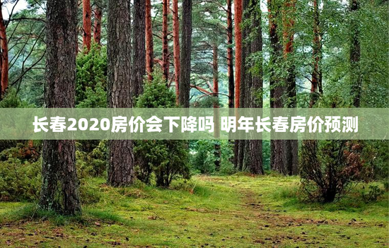 长春2020房价会下降吗 明年长春房价预测