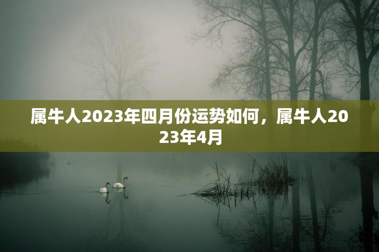 属牛人2023年四月份运势如何，属牛人2023年4月