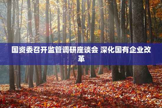 国资委召开监管调研座谈会 深化国有企业改革
