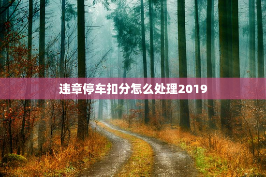 违章停车扣分怎么处理2019