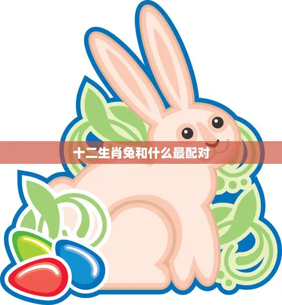 十二生肖兔和什么最配对(最佳搭档大揭秘)