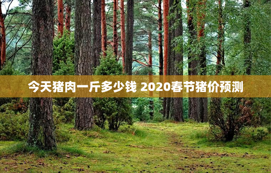 今天猪肉一斤多少钱 2020春节猪价预测