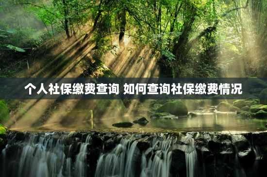 个人社保缴费查询 如何查询社保缴费情况