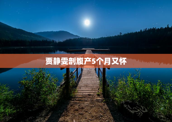 贾静雯剖腹产5个月又怀