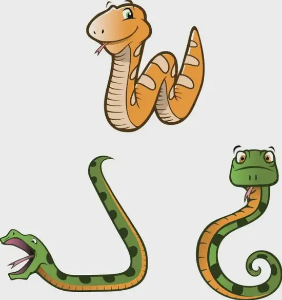 生肖蛇无尾特征