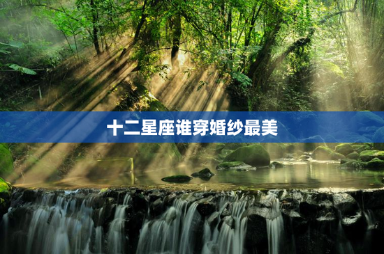 十二星座谁穿婚纱最美