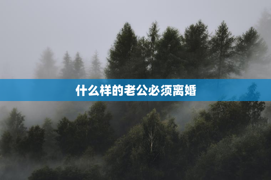 什么样的老公必须离婚