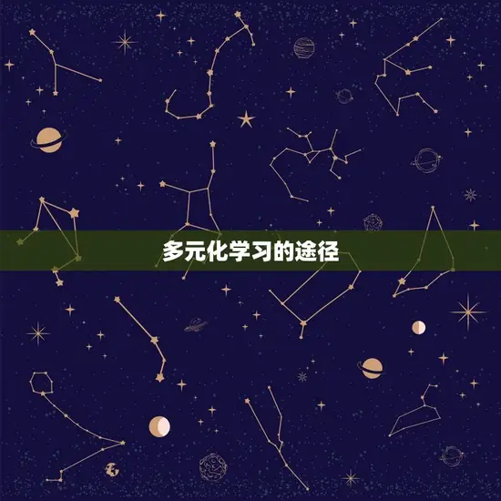 多元化学习的途径