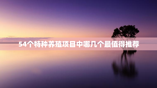54个特种养殖项目中哪几个最值得推荐