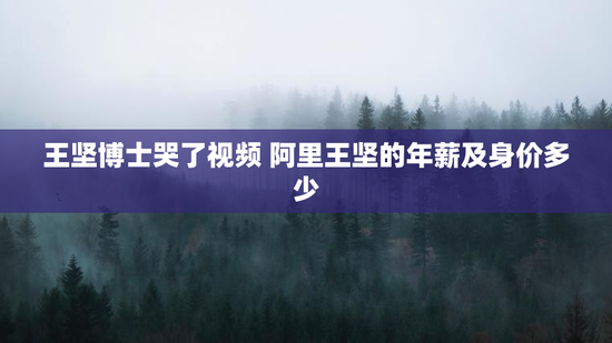 王坚博士哭了视频 阿里王坚的年薪及身价多少
