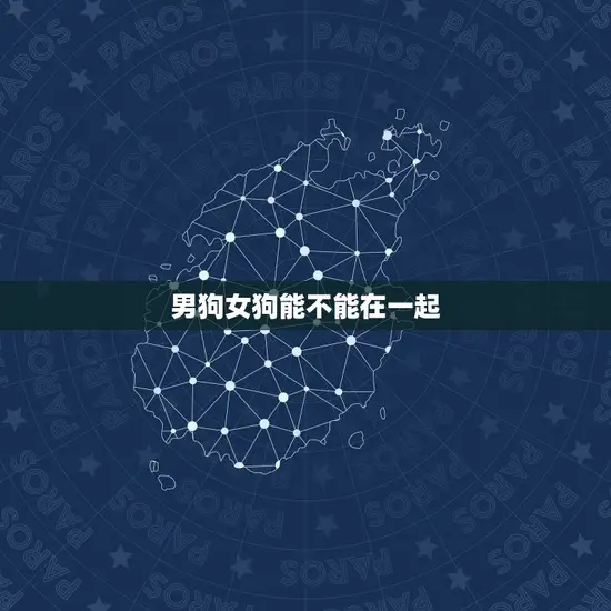 男狗女狗能不能在一起