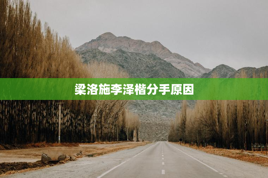 梁洛施李泽楷分手原因