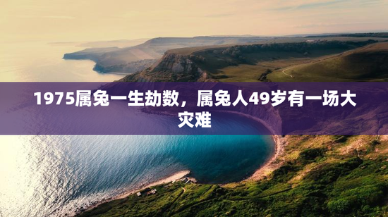1975属兔一生劫数，属兔人49岁有一场大灾难