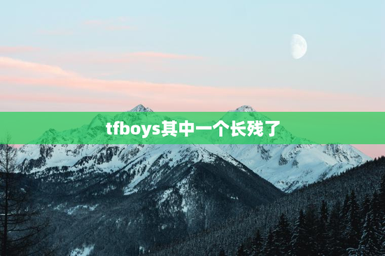tfboys其中一个长残了