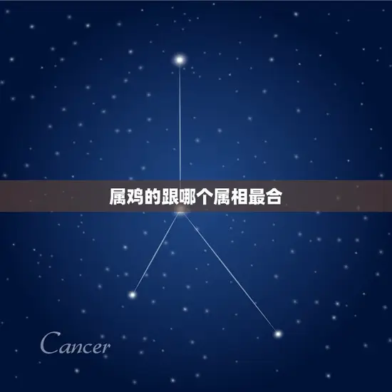 属鸡的跟哪个属相最合
