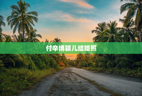 付辛博颖儿结婚照