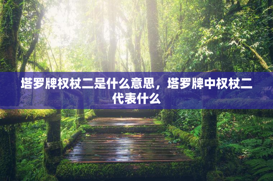 塔罗牌权杖二是什么意思，塔罗牌中权杖二代表什么