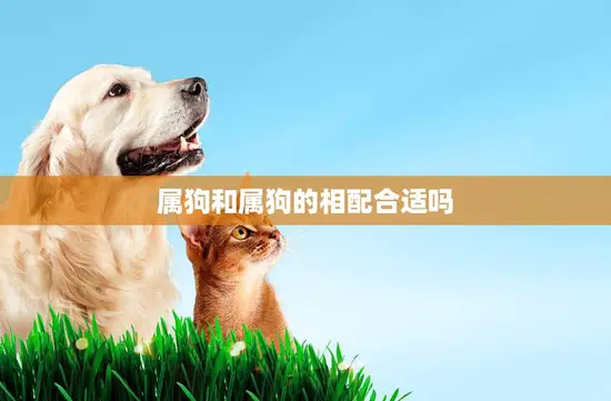 属狗和属狗的相配合适吗(探究同类相斥还是相吸)