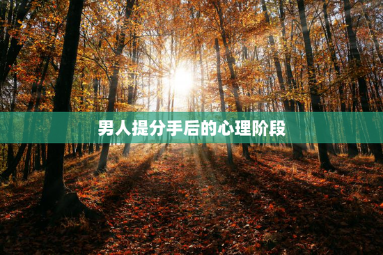 男人提分手后的心理阶段