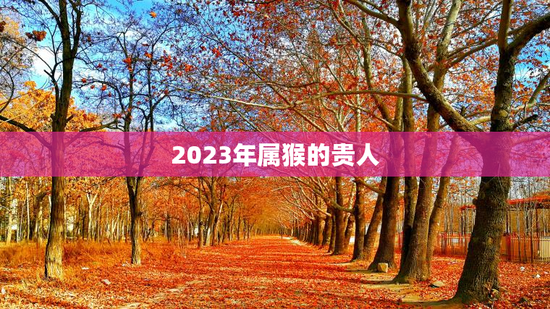 2023年属猴的贵人，2004年属猴人2023年全年运势运程