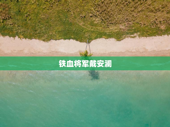 铁血将军戴安澜