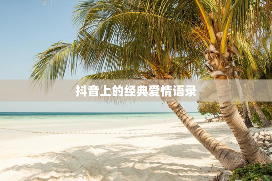 抖音上的经典爱情语录