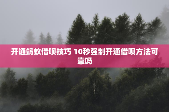 开通蚂蚁借呗技巧 10秒强制开通借呗方法可靠吗