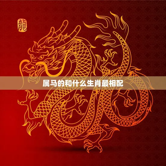 属马的和什么生肖最相配(马配龙情投意合)