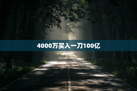 4000万买入一刀100亿
