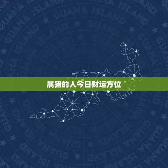 属猪的人今日财运方位