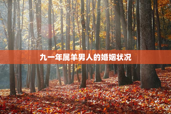 九一年属羊男人的婚姻状况，九一年属羊的男人的性格