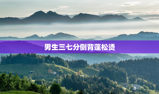 男生三七分侧背蓬松烫