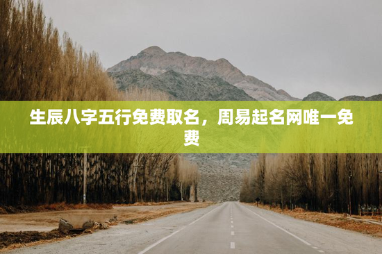 生辰八字五行免费取名，周易起名网唯一免费